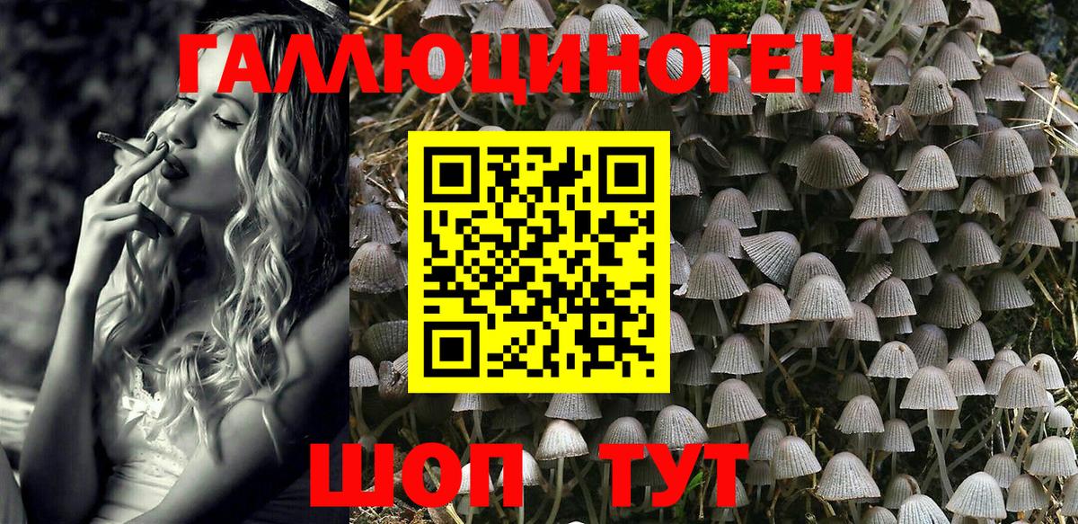 Галлюциногенные грибы Psilocybe  Вход с VPN  Чебоксары 