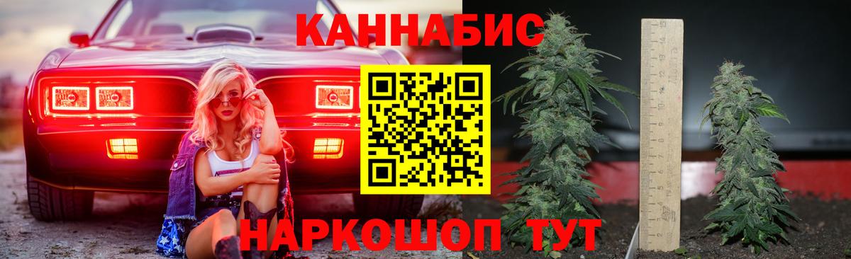 Каннабис планчик  Вход с VPN  Чебоксары  Бошки марихуана конопля  Марихуана индика 